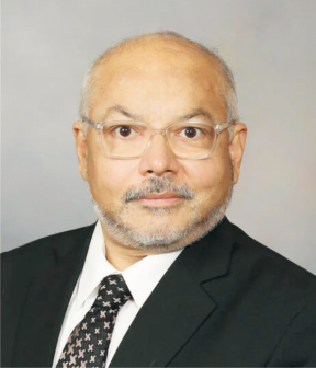 Professor Dr. Neeraj Kumar